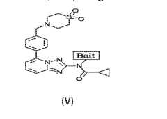 Figure imgf000065_0001