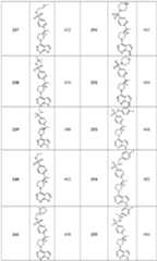 Figure imgf000078_0001