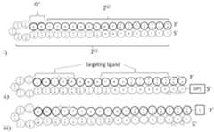Figure imgf000060_0001