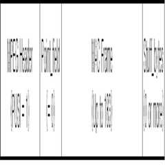 Figure 112007091113321-pat00003