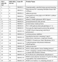 Figure imgf000041_0001