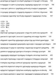 Figure IDA0002935257620000241