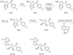Figure imgf000079_0001