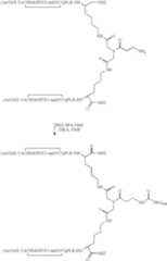 Figure US07906485-20110315-C00086