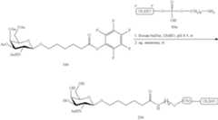 Figure US09181549-20151110-C00728