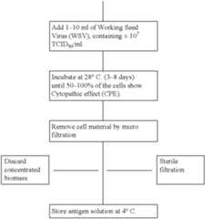 Figure US06555346-20030429-C00002