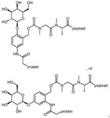 Figure imgf000010_0001