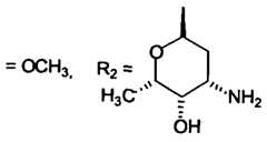 Figure imgf000006_0002