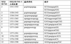 Figure BDA0003702321910000731