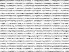 Figure BPA0000291811450001551