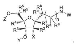 Figure imgf000022_0002