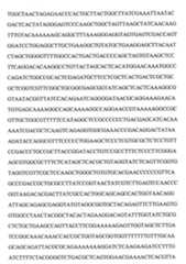 Figure 109103078-A0101-12-0102-47