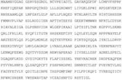 Figure 112019094446023-pat00291