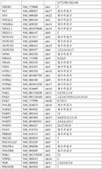 Figure BDA0002159872460000111