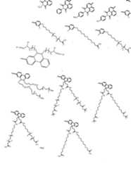 Figure imgf000174_0001