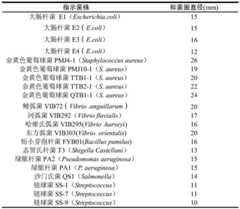 Figure BDA0003577776870000051