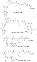 Figure 2024516191000033