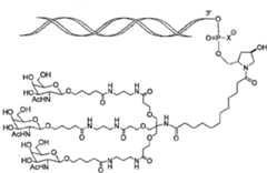 Figure 107123784-A0305-02-0239-7