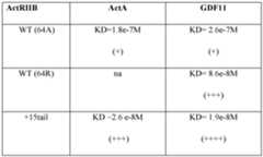 Figure imgf000184_0001