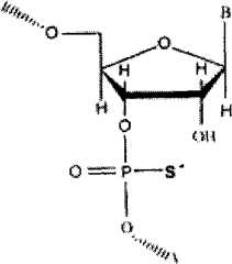 Figure GSA00000011609800092