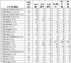 Figure BDA0003858538280000462