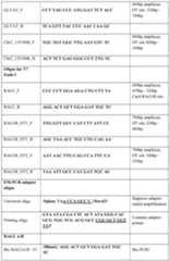 Figure imgf000082_0001