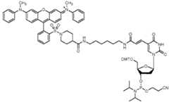 Figure imgf000095_0001