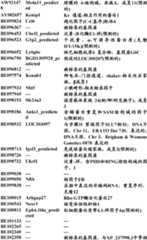 Figure BDA0000057170160001081