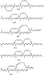 Figure BPA00001373600300391