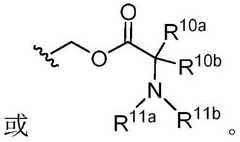 Figure FDA0003153440730000033