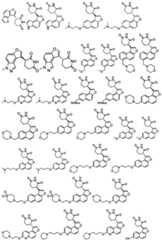 Figure GDA0003480931630000101