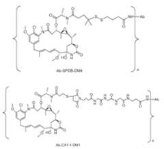 Figure imgf000037_0001