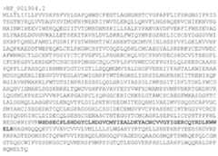 Figure 2023500889000011