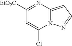 Figure US07119200-20061010-C00683