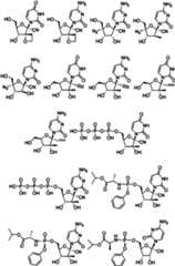 Figure imgf000013_0001