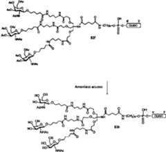 Figure imgf000050_0001