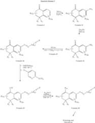 Figure US06942980-20050913-C00011