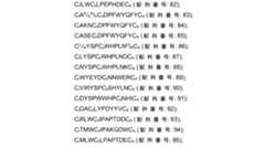 Figure 0007704732000016