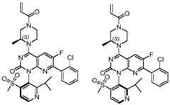 Figure BDA0002861043520000873