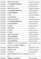 Figure BDA0001349734580003931