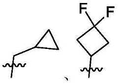 Figure FDA0003361869430000111