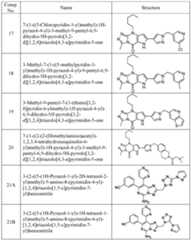Figure imgf000010_0001