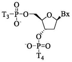 Figure BDA0003357312860002171