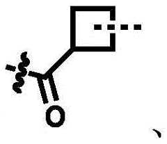 Figure BDA0002964098100000563