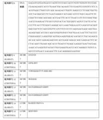 Figure 0007483732000024