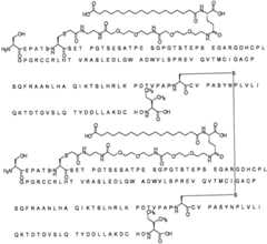 Figure BPA0000281274980001531