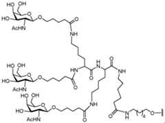 Figure imgf000175_0001
