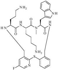 Figure BDA0001640213710005591