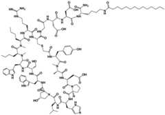 Figure imgf000164_0001