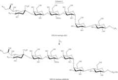 Figure US10342858-20190709-C00022